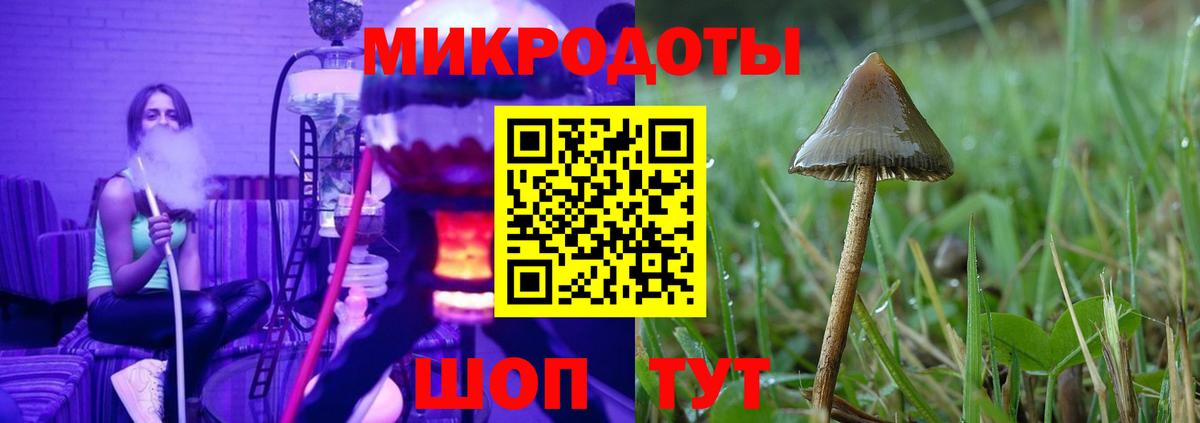 Галлюциногенные грибы GOLDEN TEACHER  Вход с VPN  купить наркотики цена  Псилоцибиновые грибы MAGIC MUSHROOMS  Мурманск 